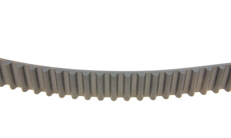 Фото 3 - Ремень ГРМ Gates 5505XS