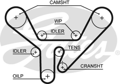 Ремінь ГРМ - Gates 5518XS