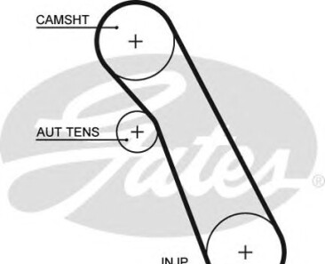 Фото 3 - Ремень ГРМ Gates 5541XS