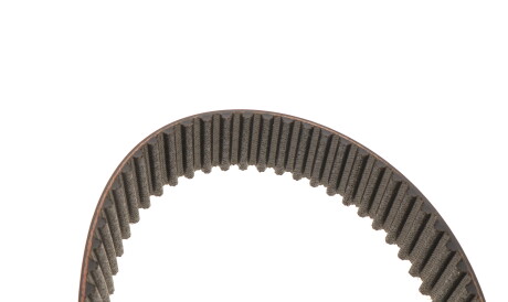 Фото 3 - Ремінь ГРМ Gates 5555XS