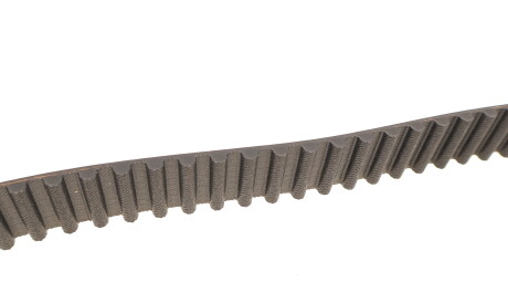 Фото 3 - Ремінь ГРМ Gates 5560XS