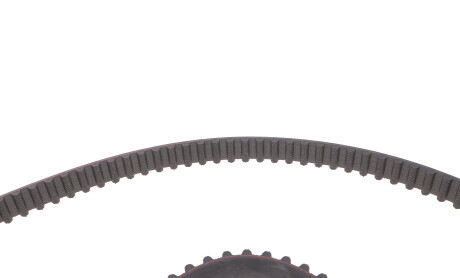 Фото 6 - Ремень ГРМ Gates 5575XS