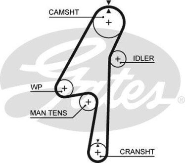 Ремень ГРМ - (274247, 30731772, 30777779) Gates 5580XS (фото 1)
