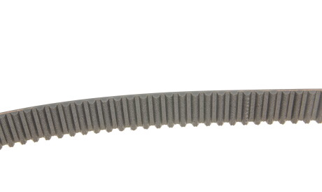 Фото 3 - Ремень ГРМ Gates 5586XS