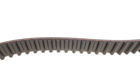 Фото 3 - Ремень ГРМ Gates 5593XS