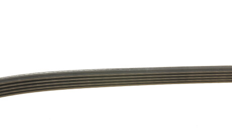 Фото 3 - Ремінь приводний Gates 5PK1095