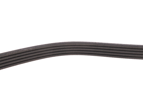 Фото 3 - Ремінь приводний Gates 5PK1113