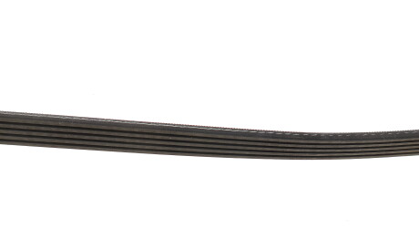 Фото 3 - Ремень приводной Gates 5PK1193