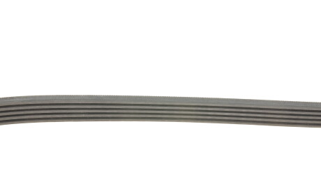 Фото 3 - Ремень приводной Gates 5PK1815