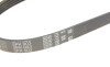 Поліклиновий ремінь - ((1172003N00, 4451A100, 7700860833, 7701068448, 8845887702)) Gates 5PK903 (фото 5)