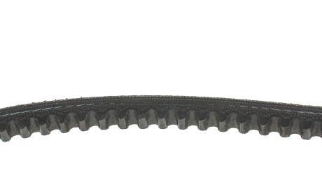 Фото 2 - Ремінь приводний Gates 6309MC