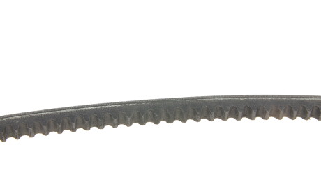 Фото 3 - Ремінь приводний Gates 6462MC