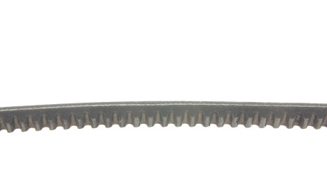 Фото 3 - Ремінь приводний Gates 6469MC