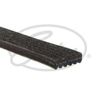 Фото 2 - Ремінь приводний Gates 6DPK1188