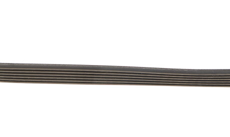 Фото 3 - Ремень приводной Gates 6PK1003