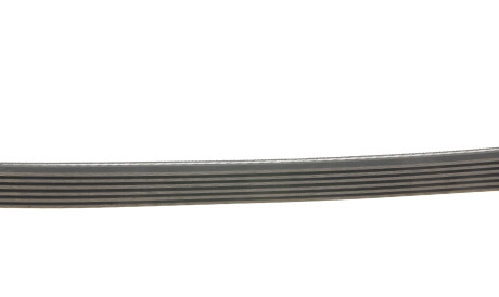 Фото 3 - Ремінь приводний Gates 6PK1203