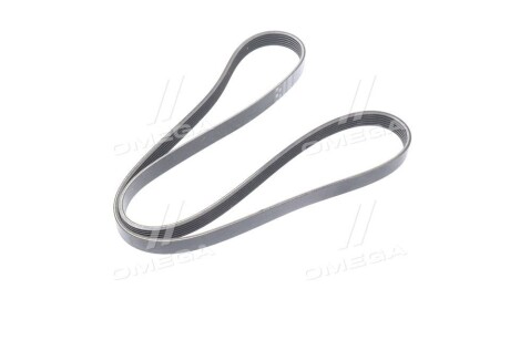 Фото 2 - Ремень приводной Gates 6PK1550XS