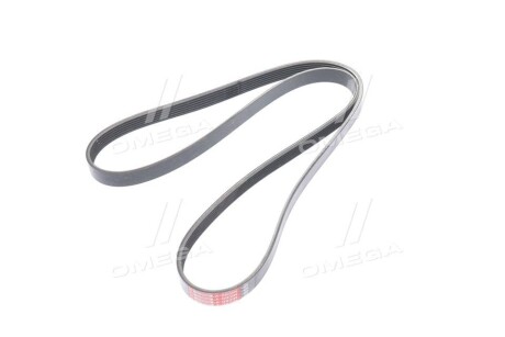 Фото 4 - Ремень приводной Gates 6PK1550XS