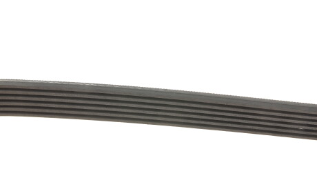 Фото 3 - Ремень приводной Gates 6PK1555