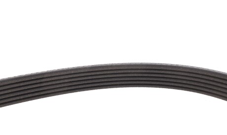 Фото 3 - Ремень приводной Gates 6PK1600