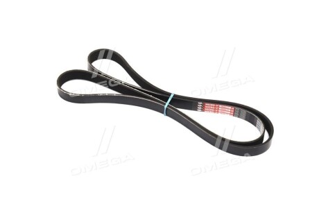 Фото 3 - Ремінь приводний Gates 6PK1600XS