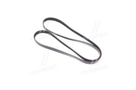 Фото 3 - Ремінь приводний Gates 6PK1853XS