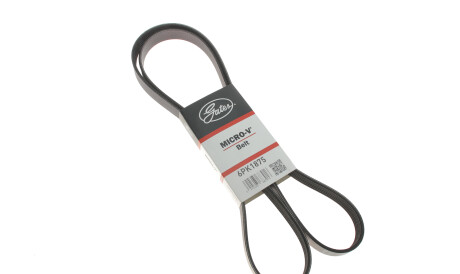 Фото 2 - Ремінь приводний Gates 6PK1875