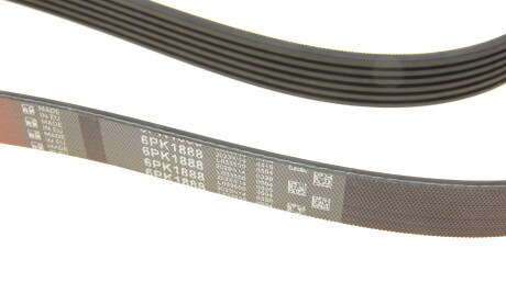 Фото 4 - Ремень приводной Gates 6PK1888