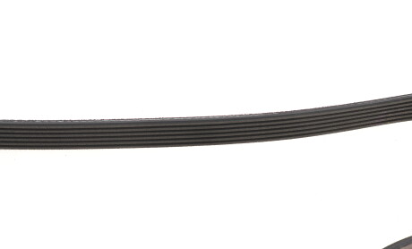 Фото 4 - Ремень приводной Gates 6PK1960