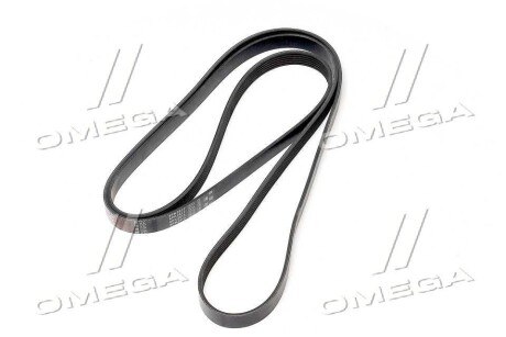 Фото 2 - Ремінь приводний Gates 6PK2513