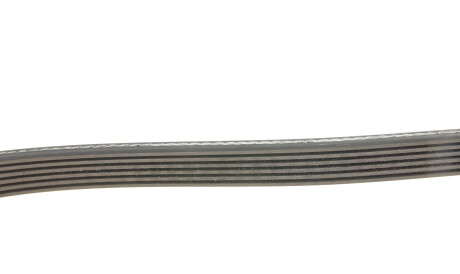 Фото 3 - Ремінь приводний Gates 6PK2550