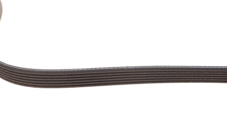 Фото 3 - Ремінь приводний Gates 6PK2573