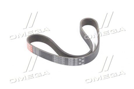 Ремінь генератора SEAT IBIZA IV, IBIZA IV SC, IBIZA IV ST, IBIZA V, MII, TOLEDO IV SKODA CITIGO - (04C903137D) Gates 6PK701SF