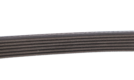 Фото 3 - Ремінь приводний Gates 6PK743