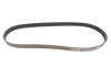 Ремень поликлиновый BMW 3 (E90) Opel Movano 2.0i 2.5DTI 03- - ((11287560485, 11287631812, 4416361, 4418674, 8200465689)) Gates 7PK1103 (фото 4)