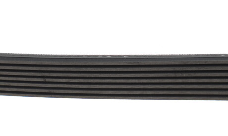 Фото 3 - Ремінь приводний Gates 7PK1148