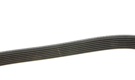 Фото 3 - Ремінь приводний Gates 7PK1570