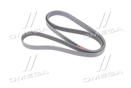 Фото 3 - Ремень приводной Gates 7PK2225