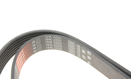 Фото 4 - Ремень приводной Gates 7PK2255