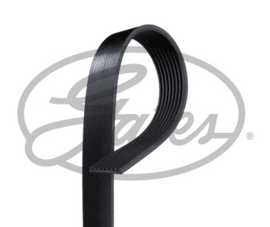 V-ribbed belts - (20412535, 21190817) Gates 8PK1365HD