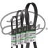 Pasek wielorowkowy THERMO KING SLX200/SLX300 - Gates CB0005 (фото 1)