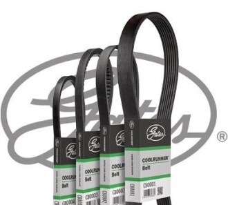 Клиновий ремінь водяного насоса THERMO KING T-100 T-600 T-800 TRIPAC TS XDS - Gates CB0049