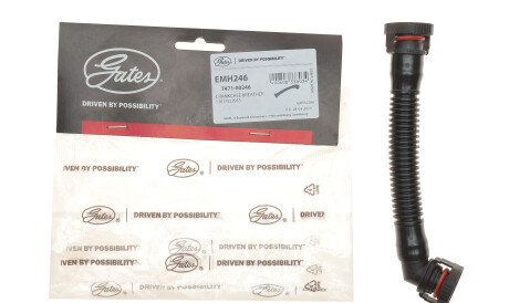 Фото 2 - Автозапчасть Gates EMH246