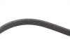 Комплект ремня генератора Citroen Berlingo/C4/Jumpy III/Peugeot 208 I/308/508 I/Partner 1.6D 08- - ((1631481680)) Gates K026PK1005EST (фото 3)