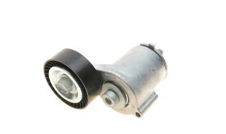 Фото 2 - Ролик ременя приводного Gates T38315