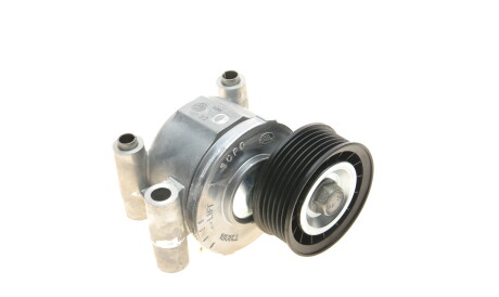 Фото 2 - Ролик ременя приводного Gates T38318