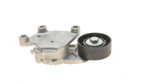 Фото 3 - Ролик ремня приводного Gates T38331