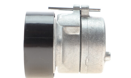 Фото 3 - Ролик ременя приводного Gates T38440