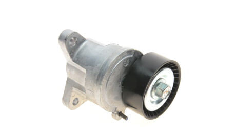 Фото 2 - Ролик ремня приводного Gates T39053