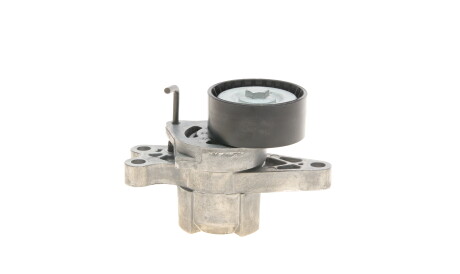 Фото 3 - Ролик ременя приводного Gates T39055